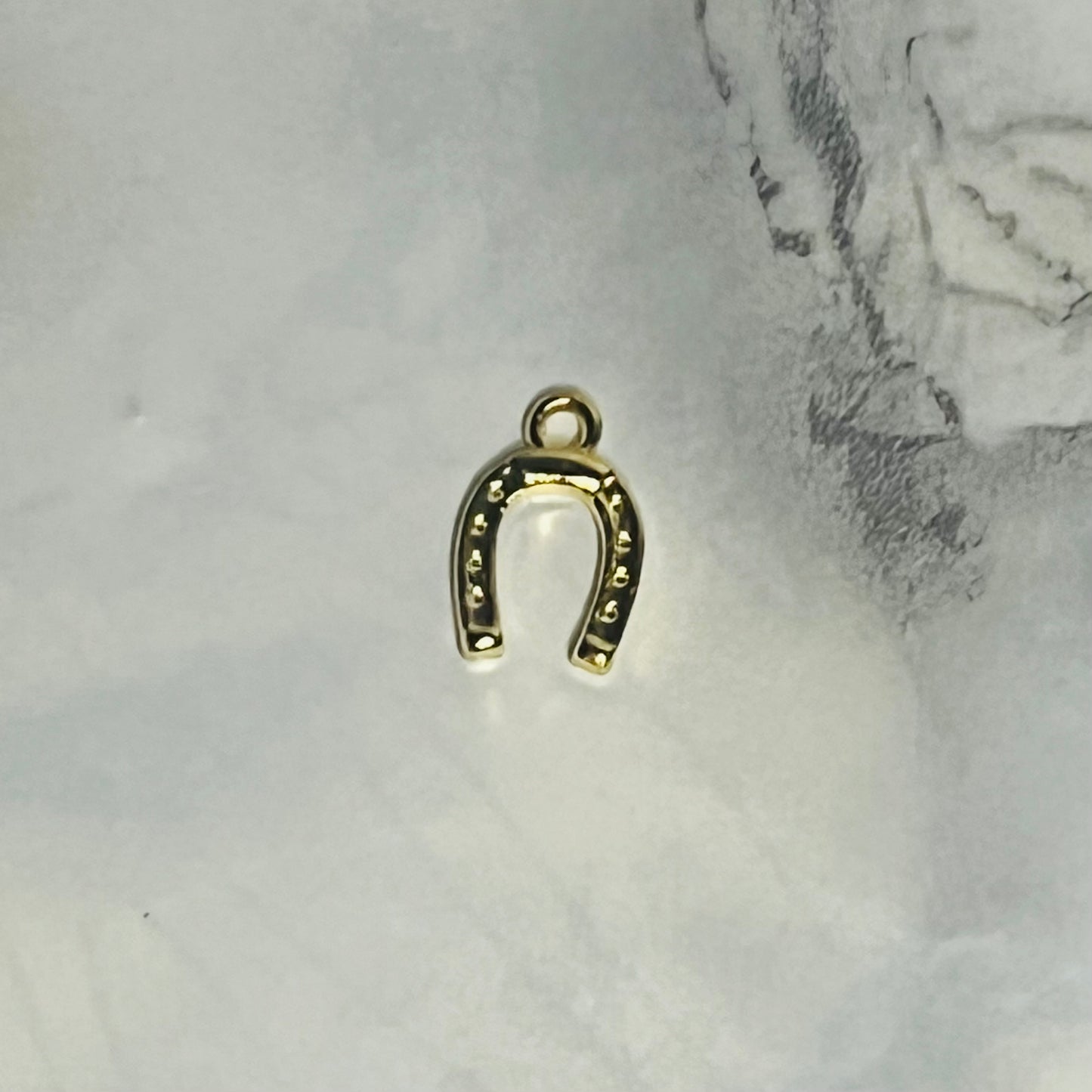 Lucky Horseshoe Charm