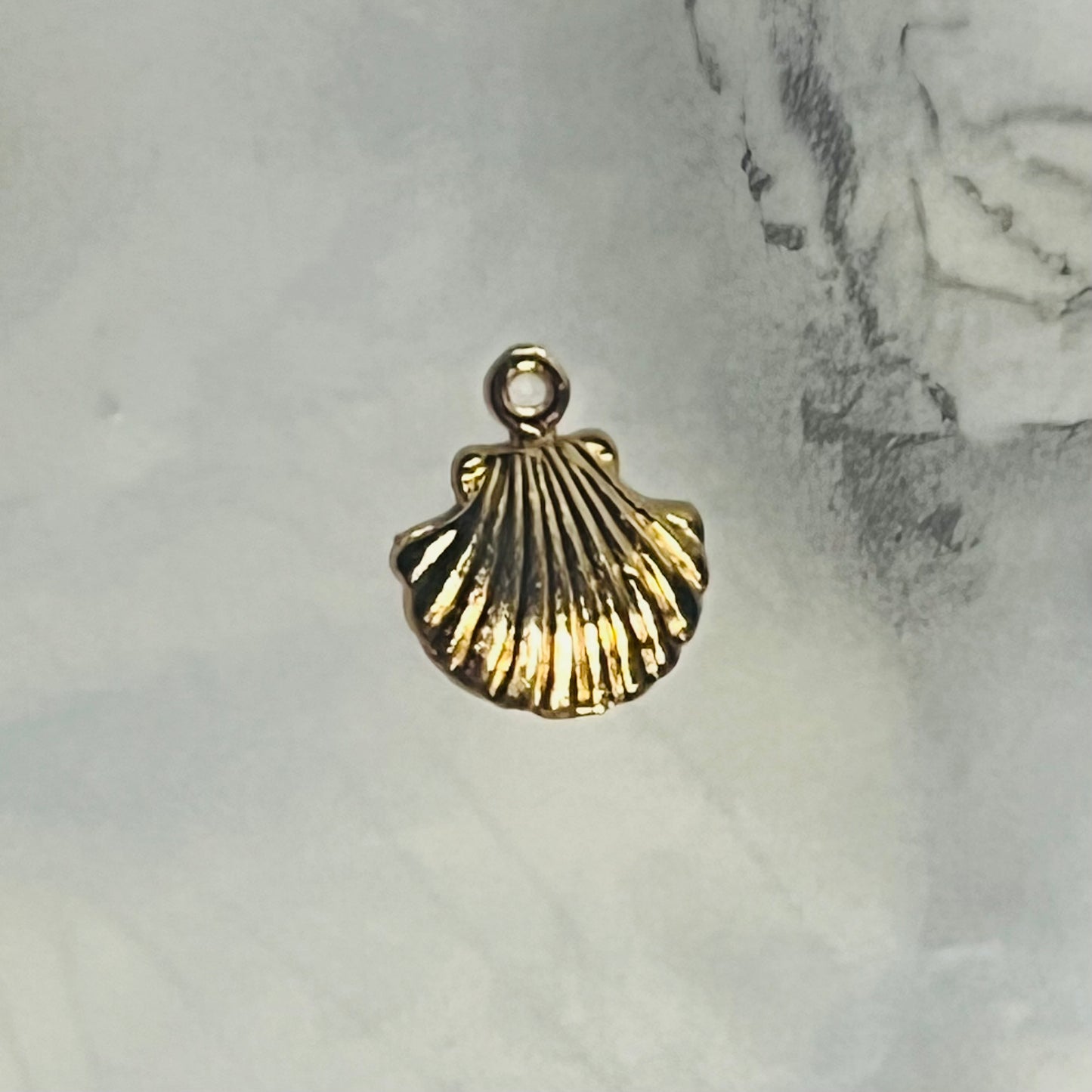 Seashell Charm