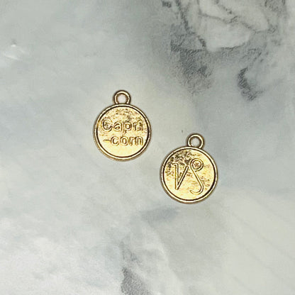 Zodiac Medallion Charm